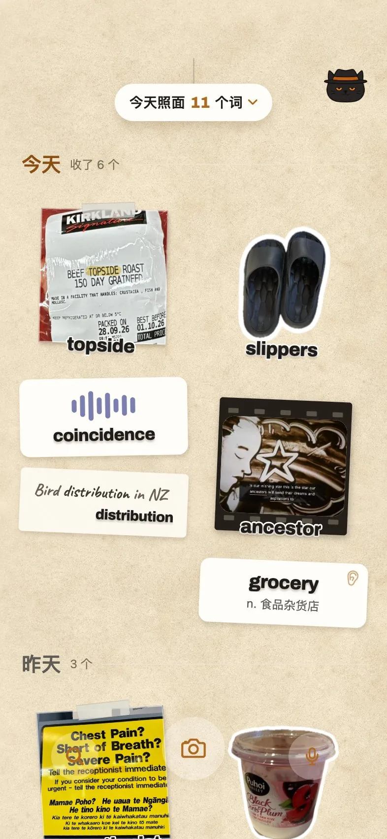 帕西诺首页：今天收了 6 个——拍字 topside、拍物 slippers、语音 coincidence、视频 ancestor、网页 distribution、词典 grocery，按天贴成一本日记